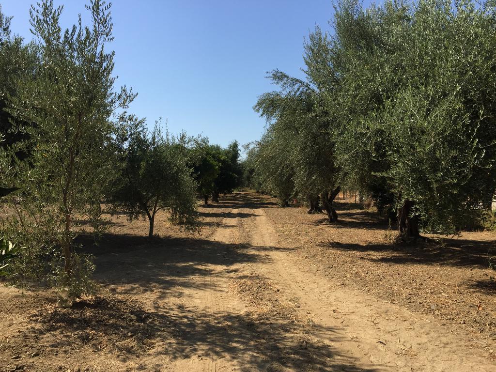 Elaianthos 1 Villa Gíthio Kültér fotó
